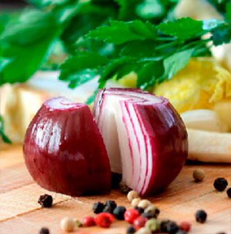cebolla