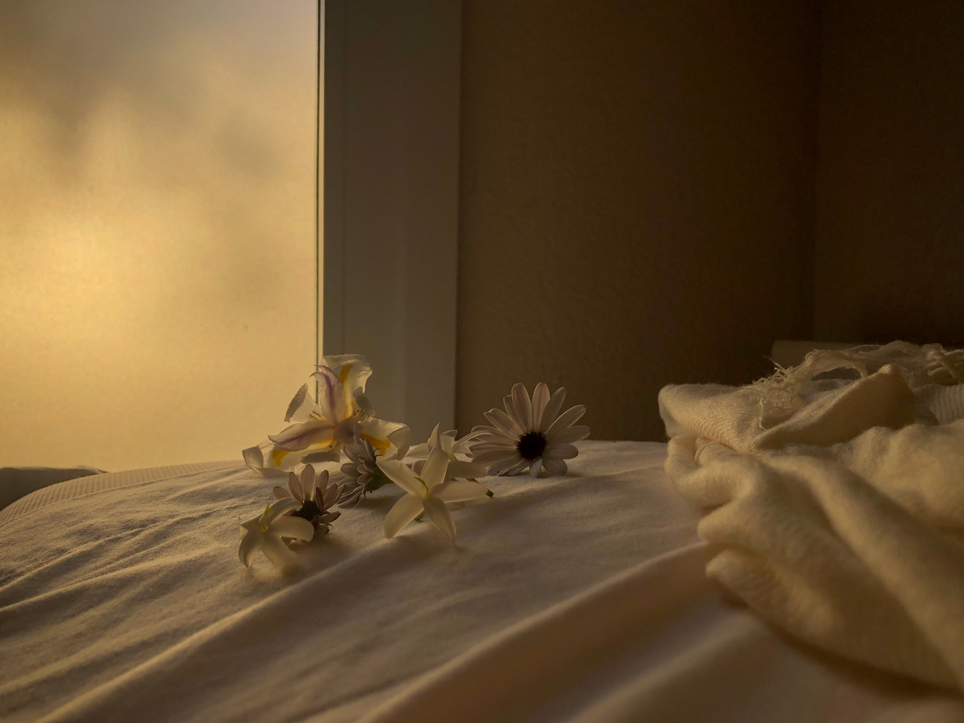 Imagen cálida con flores