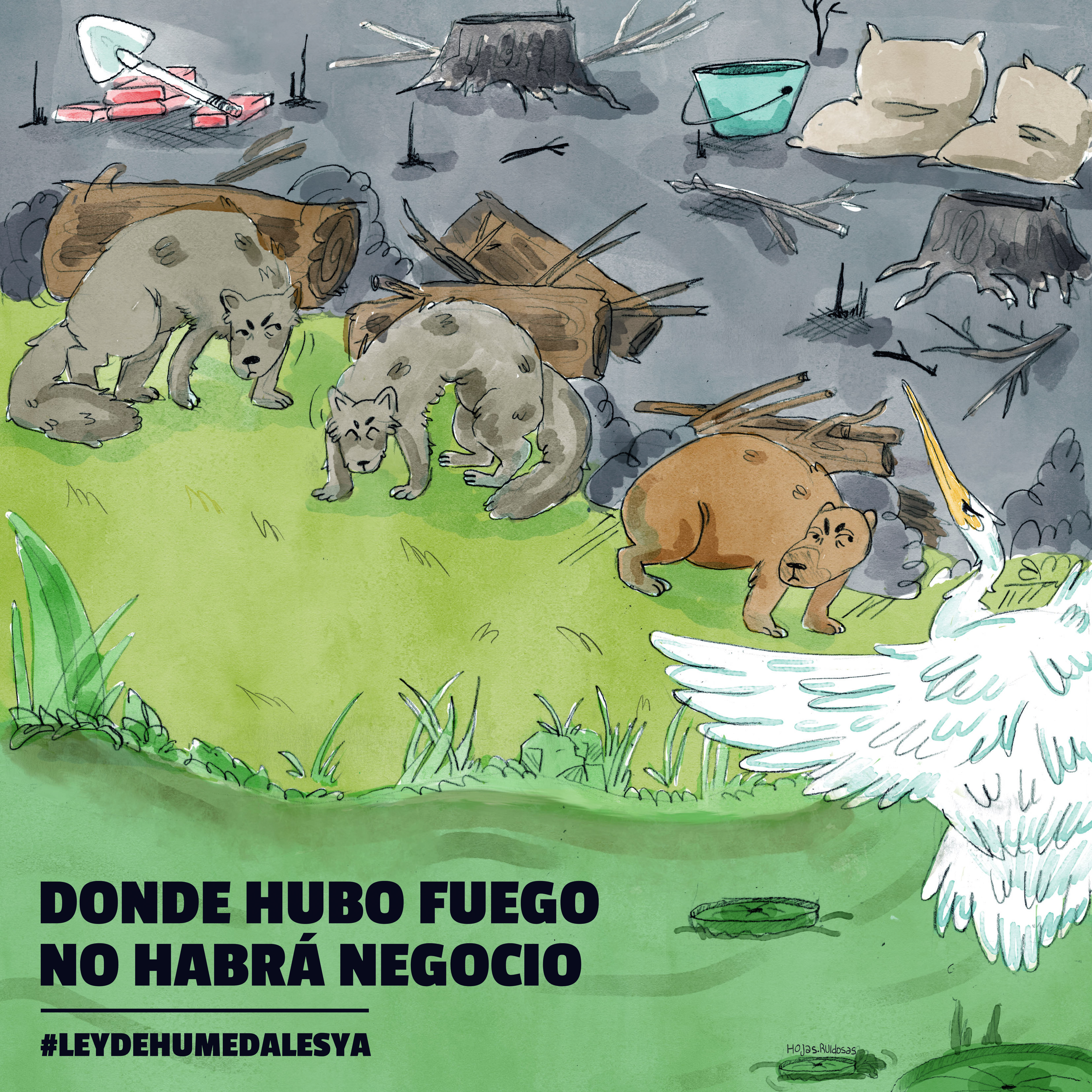 trabajo pactico ilustracion editorial