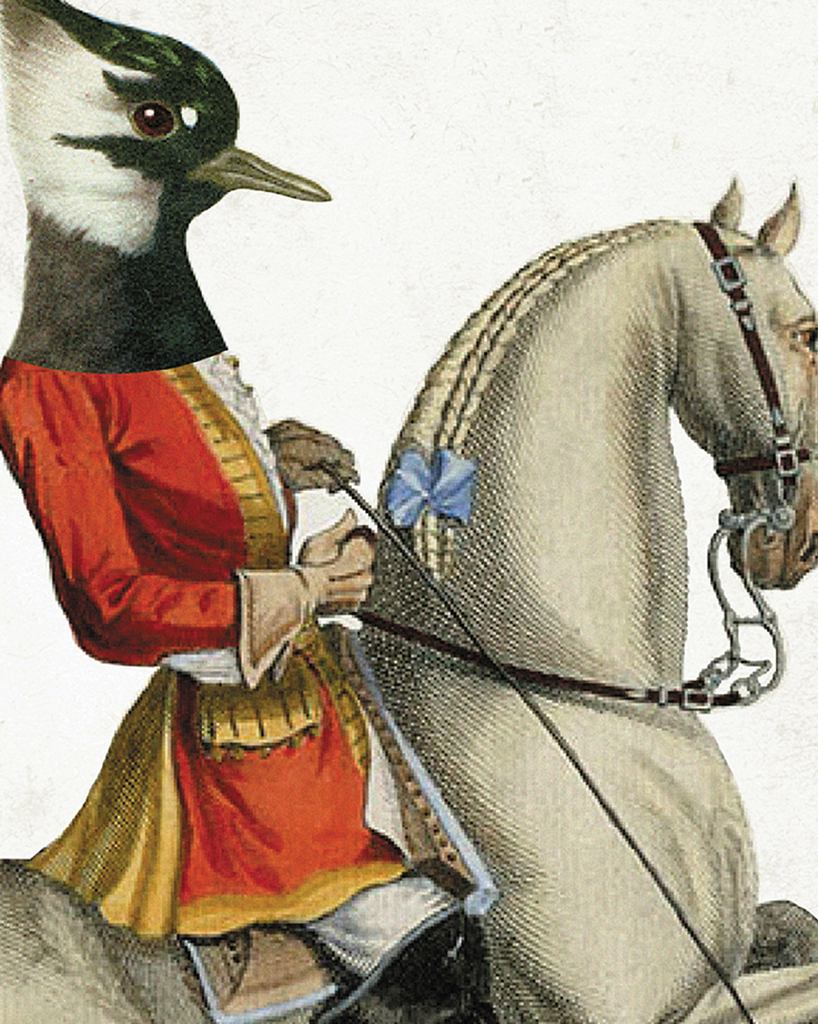 Todos los fuegos el fuego