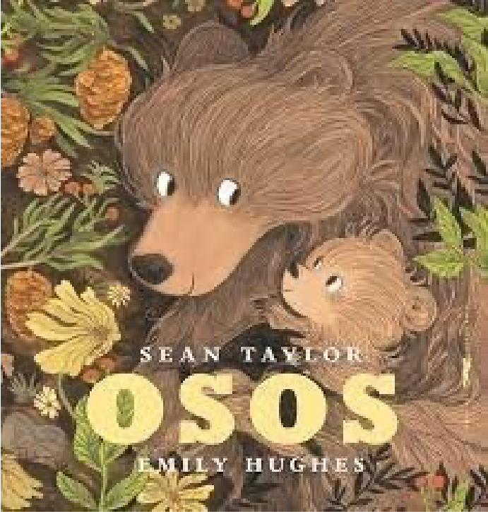 Libro:osos