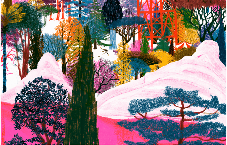 Imagen cuento Raíces del bosque