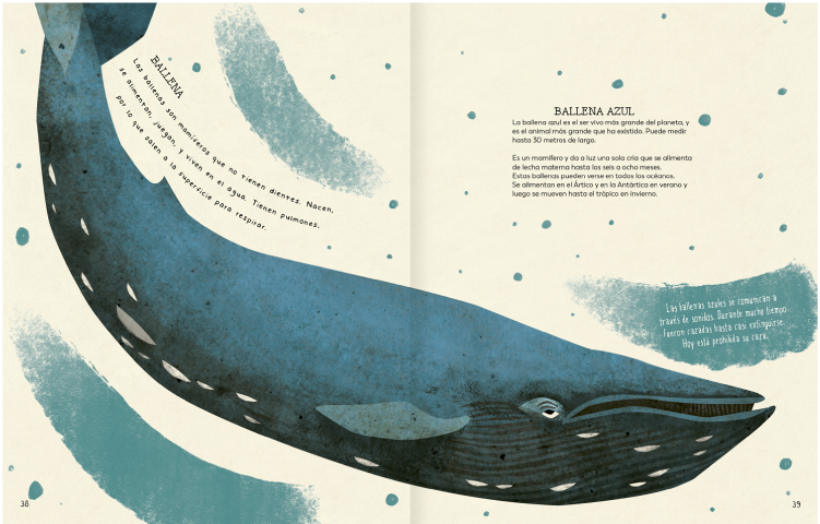 Imagen cuento Explorá tu mundo natural