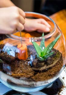 actividad Jardines en miniatura