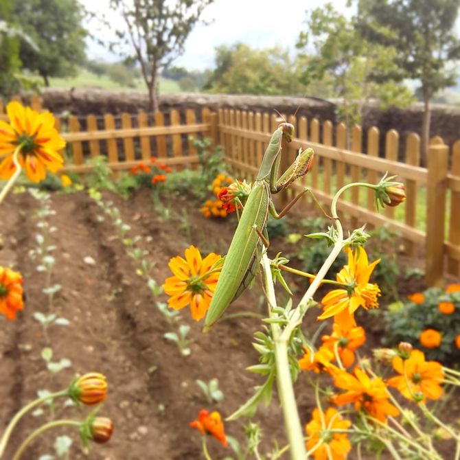 asociaciones beneficas