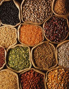 obtencion de semillas