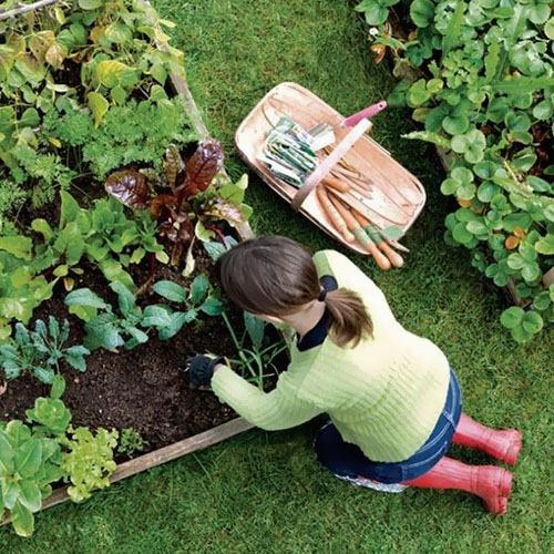 huerta agroecologica