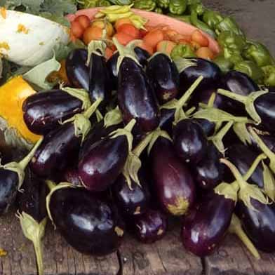 Fiesta regional de la berenjena en escabeche