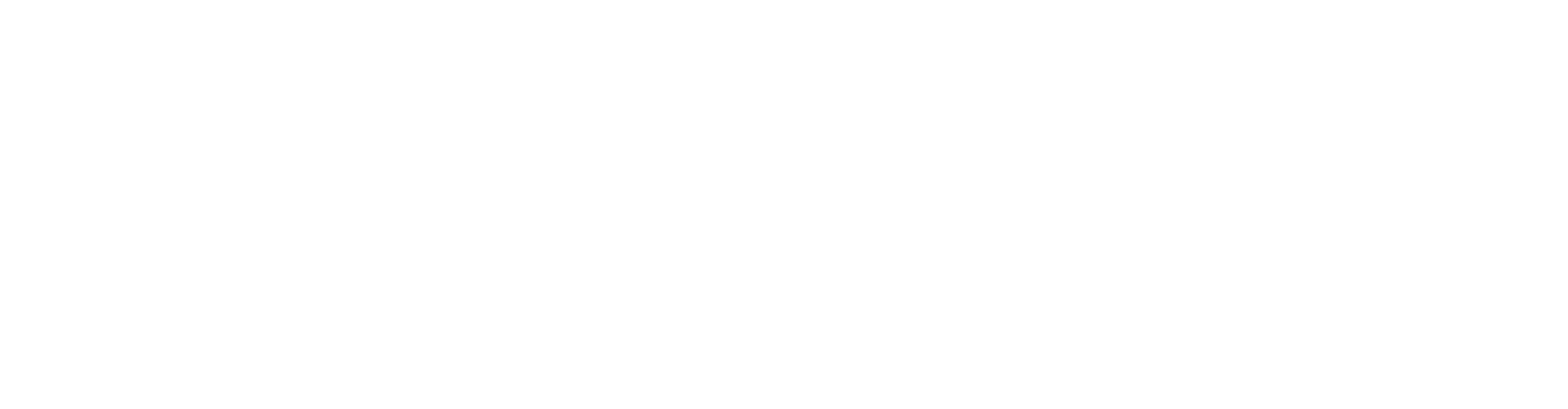 Logo newscheck