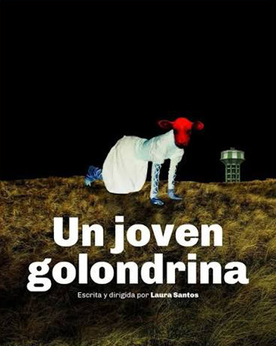 Afiche de la obra Joven Golondrina
