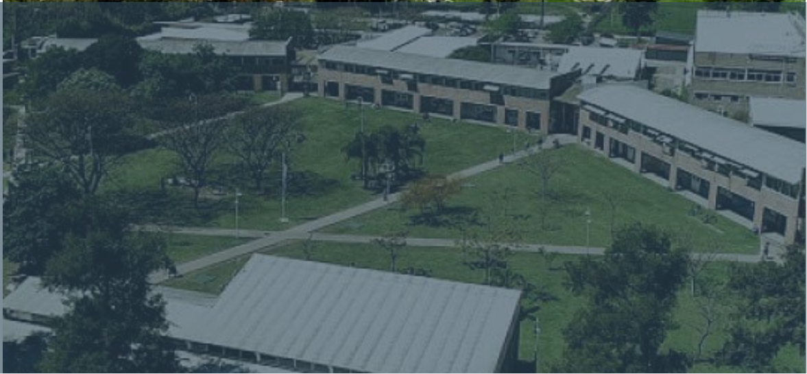 Universidad UNGS