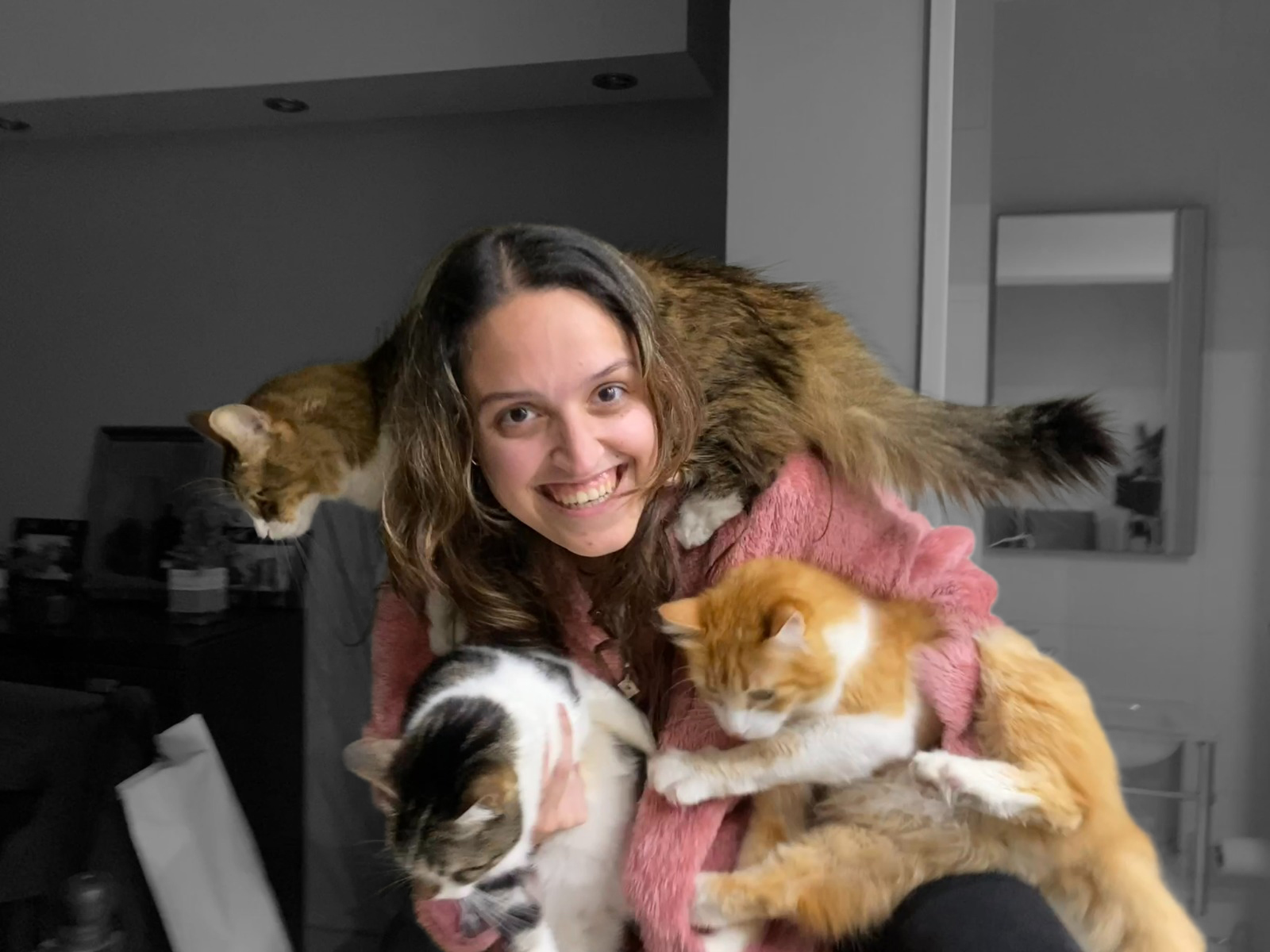 Una imágen mía con mis tres gatos encima mío