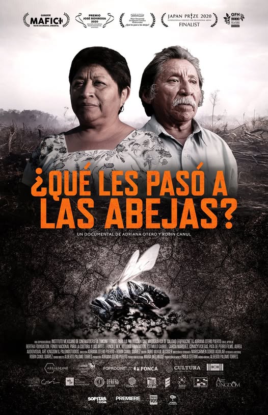 qué les paso a las abejas