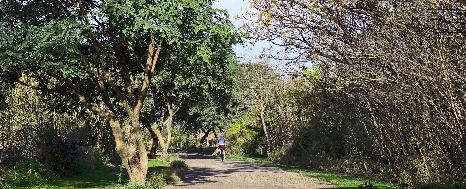 Bosque Costanera Norte