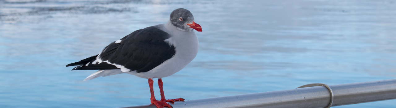 Ushuaia